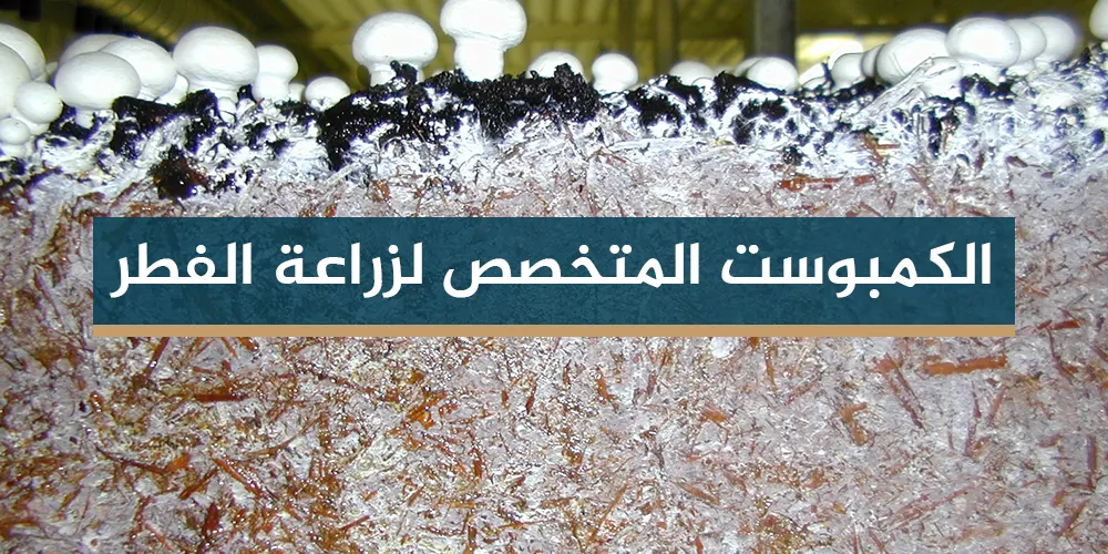 الكمبوست المتخصص لزراعة الفطر