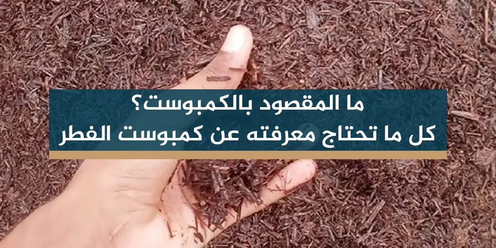 ما المقصود بالكمبوست؟ كل ما تحتاج معرفته عن كمبوست الفطر
