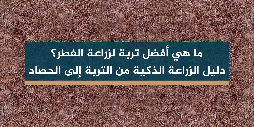 ما هي أفضل تربة لزراعة الفطر؟ دليل الزراعة الذكية من التربة إلى الحصاد