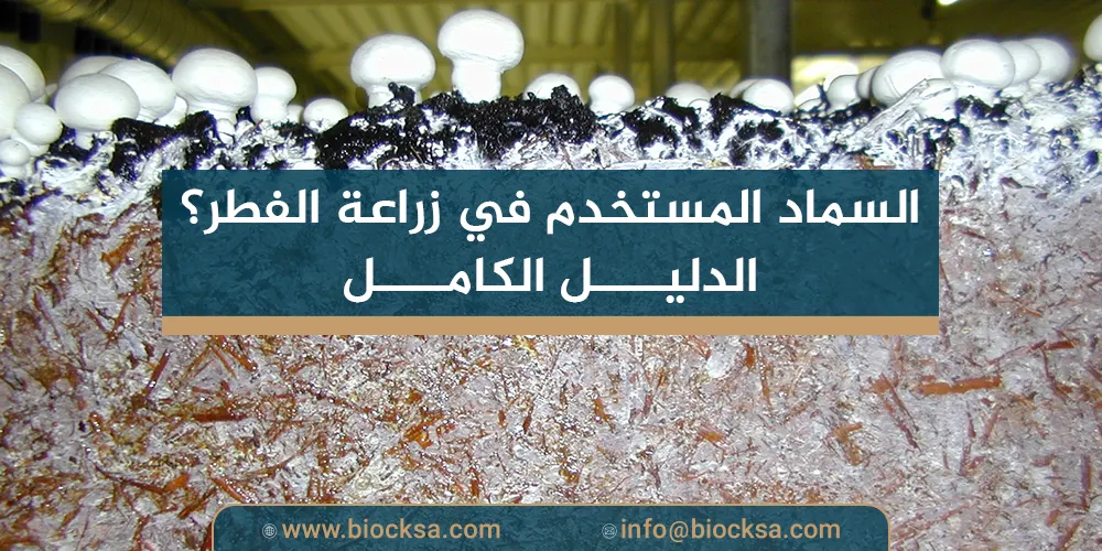 ما هو السماد المستخدم في زراعة الفطر؟