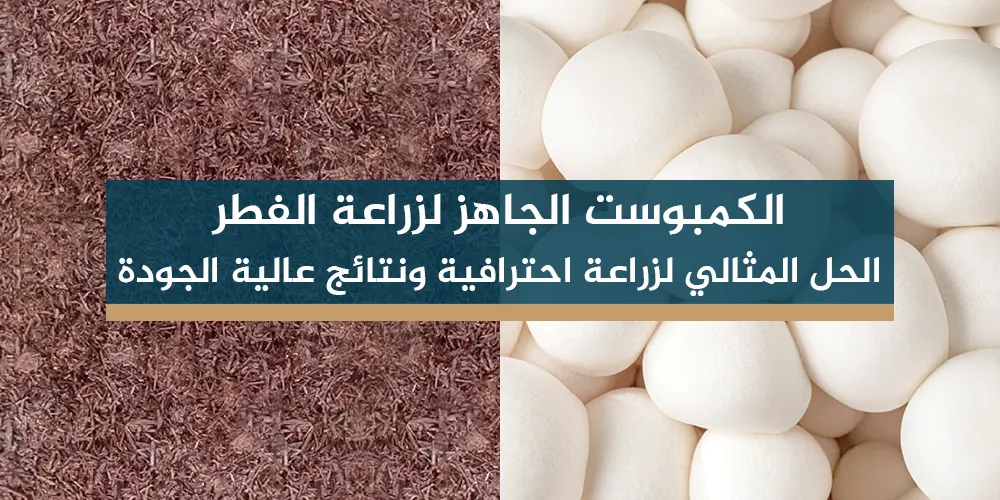 الكمبوست الجاهز لزراعة الفطر