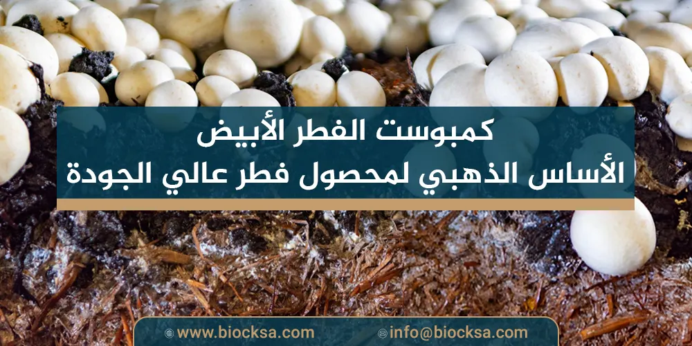 كمبوست الفطر الأبيض: الأساس الذهبي لمحصول فطر عالي الجودة