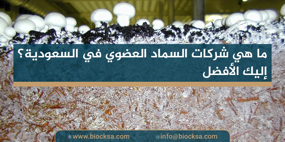 ما هي شركات السماد العضوي في السعودية؟ إليك الأفضل