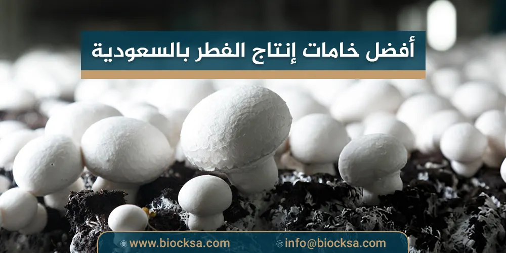 أفضل خامات إنتاج الفطر بالسعودية
