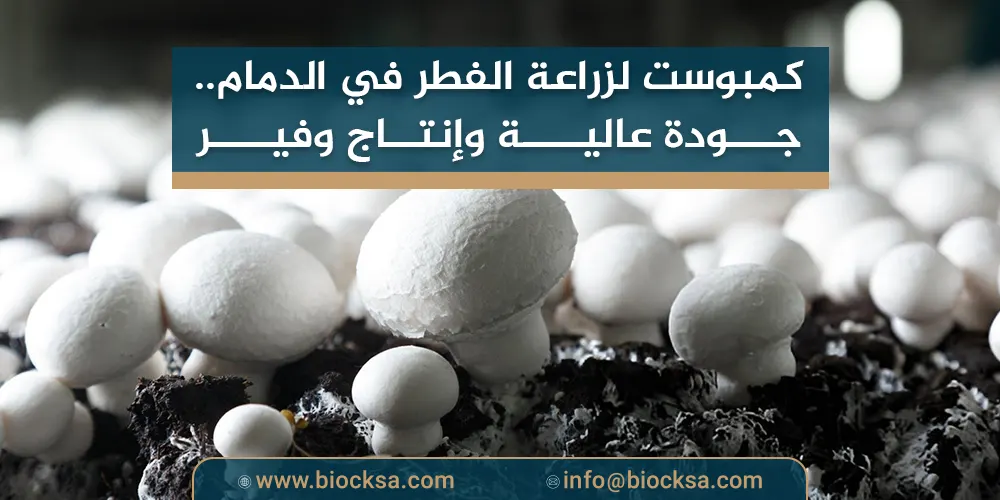 أفضل كمبوست لزراعة الفطر في الدمام