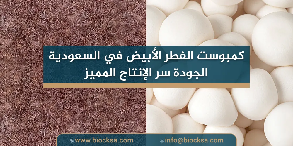 كمبوست الفطر الأبيض في السعودية – الجودة سر الإنتاج المميز