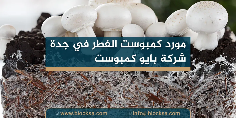 مورد كمبوست الفطر في جدة - شركة بايو كمبوست