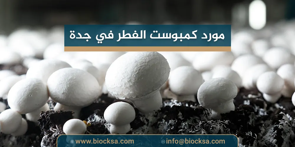مورد كمبوست الفطر في جدة