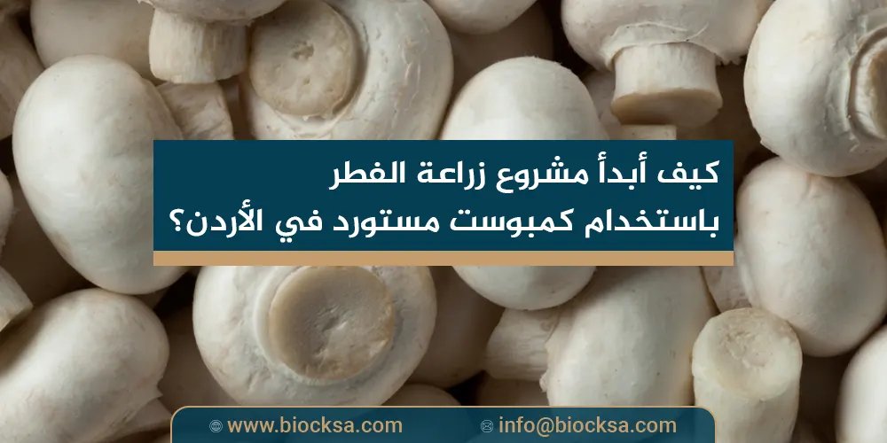 كيف أبدأ مشروع زراعة الفطر باستخدام كمبوست مستورد في الأردن؟