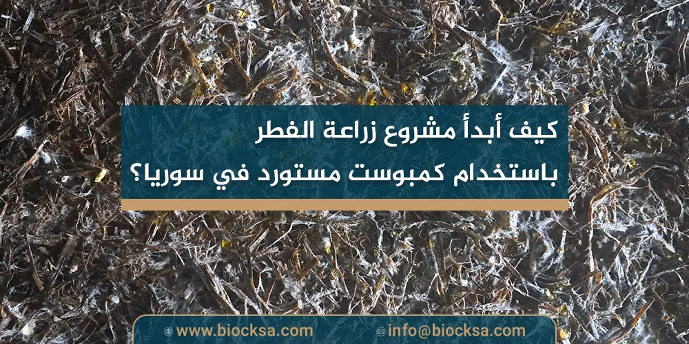 كيف أبدأ مشروع زراعة الفطر باستخدام كمبوست مستورد في سوريا؟