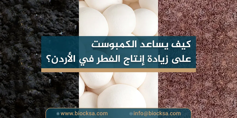 كيف يساعد الكمبوست على زيادة إنتاج الفطر في الأردن؟