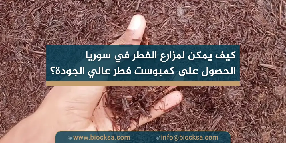 كيف يمكن لمزارع الفطر في سوريا الحصول على كمبوست فطر عالي الجودة؟