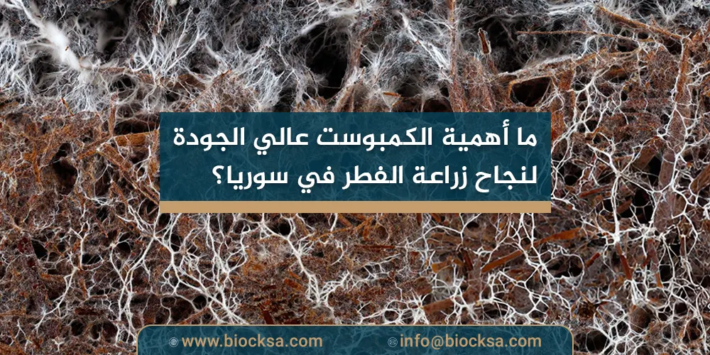 ما أهمية الكمبوست عالي الجودة لنجاح زراعة الفطر في سوريا؟