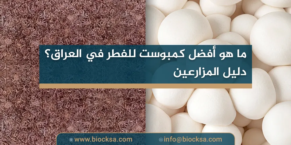 ما هو أفضل كمبوست للفطر في العراق؟ دليل المزارعين