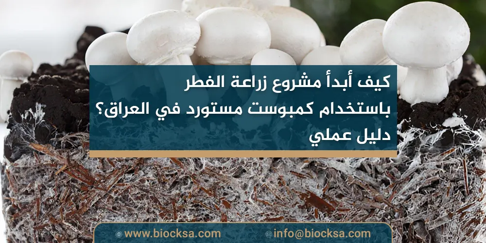 كيف أبدأ مشروع زراعة الفطر باستخدام كمبوست مستورد في العراق؟ دليل عملي