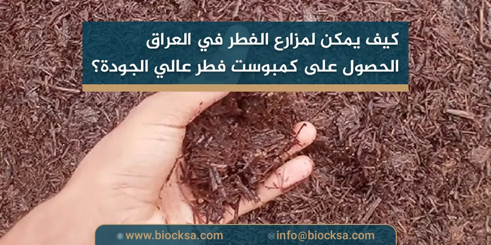 كيف يمكن لمزارع الفطر في العراق الحصول على كمبوست فطر عالي الجودة؟