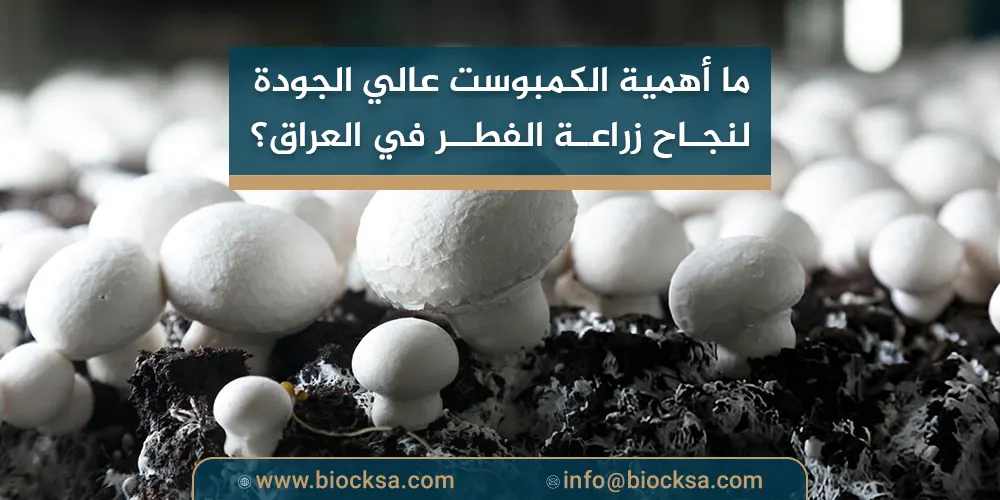 ما أهمية الكمبوست عالي الجودة لنجاح زراعة الفطر في العراق؟