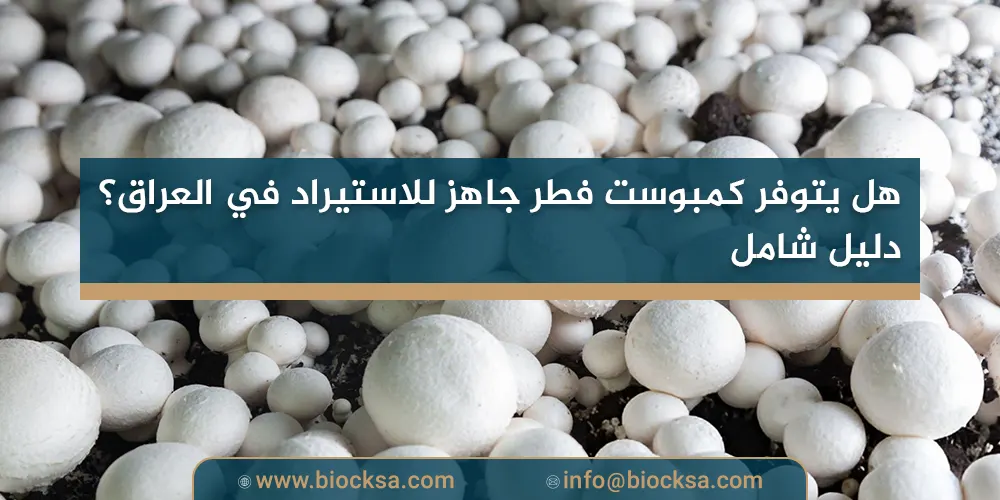 هل يتوفر كمبوست فطر جاهز للاستيراد في العراق؟ دليل شامل