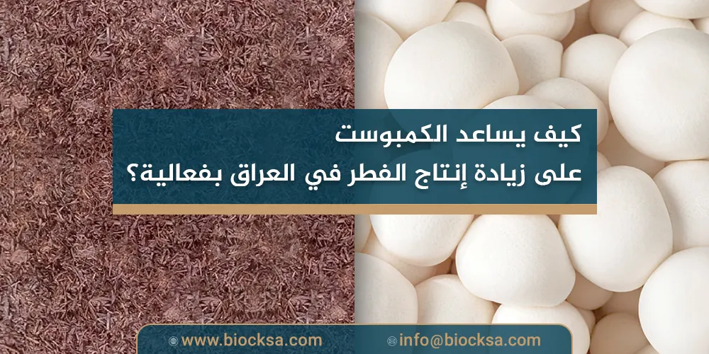 كيف يساعد الكمبوست على زيادة إنتاج الفطر في العراق بفعالية؟