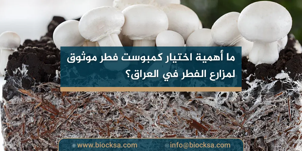 ما أهمية اختيار كمبوست فطر موثوق لمزارع الفطر في العراق؟
