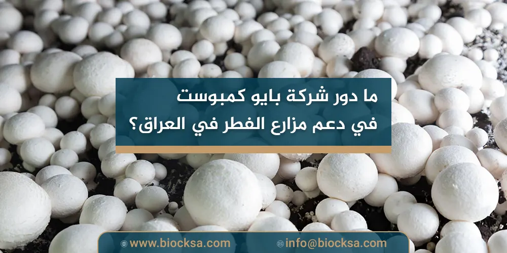 ما دور شركة بايو كمبوست في دعم مزارع الفطر في العراق؟