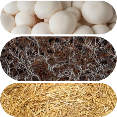 مصنع كمبوست في السعودية, كمبوست الفطر